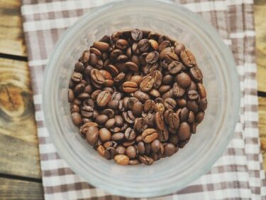 【コーヒー雑学】コーヒーの木1本からはとれる収穫量は約40杯分！